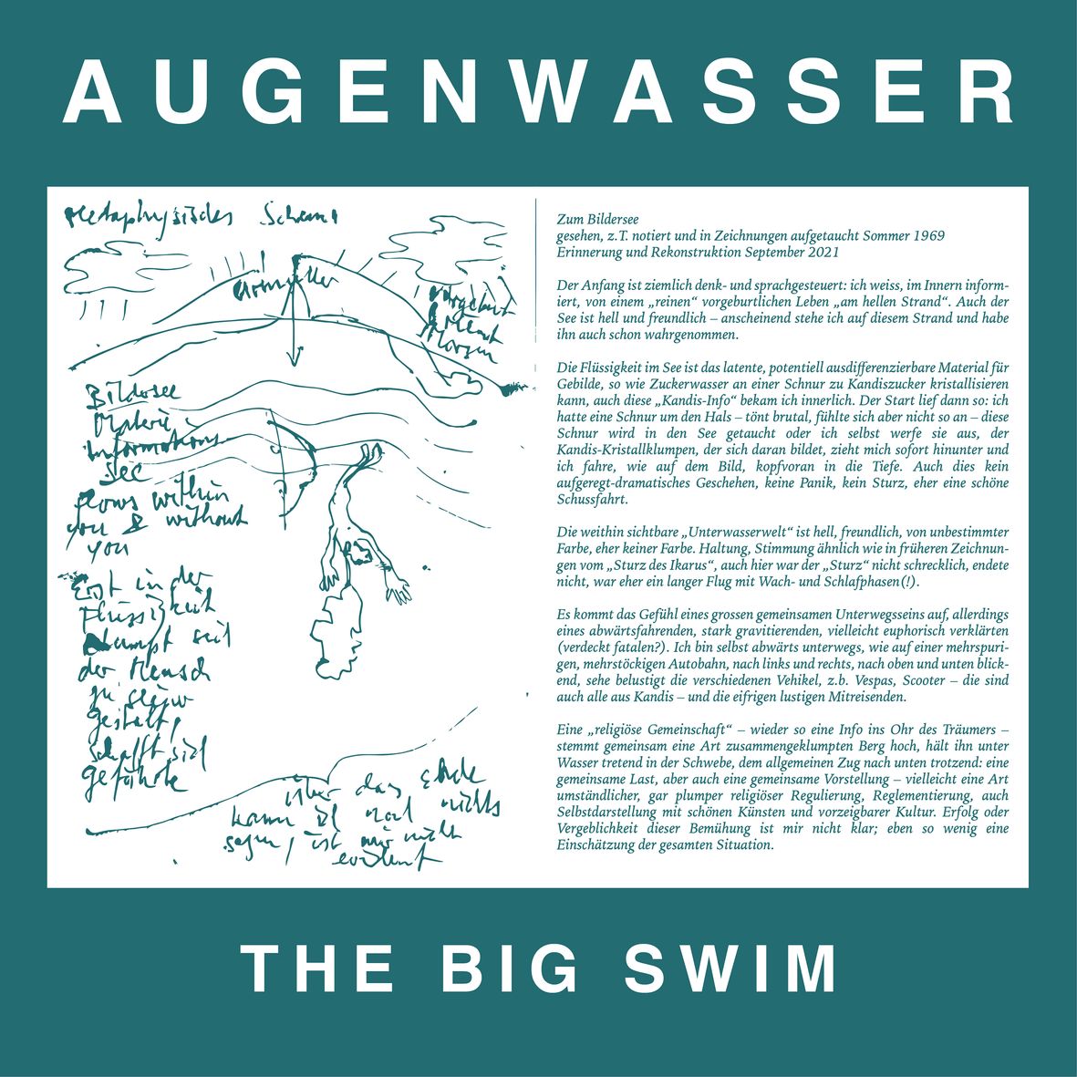 THE BIG SWIM (vinyl)