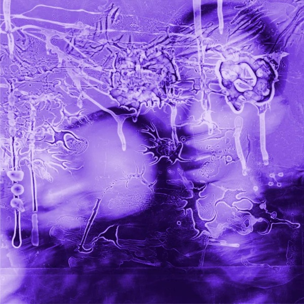 i Got a Song, It’s Gonna Make us Millions/Transparent Purple Vinyl