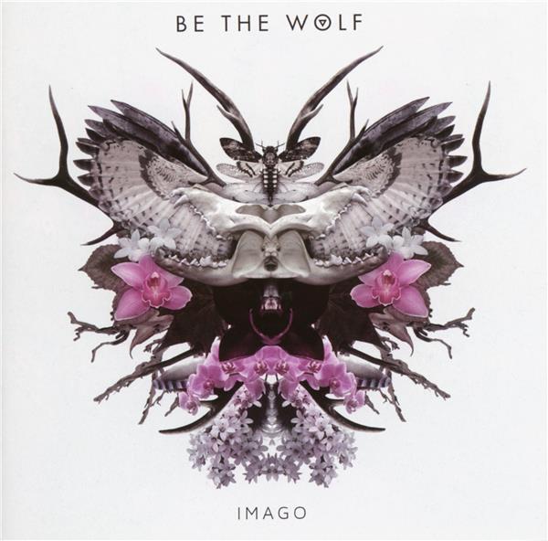 Imago