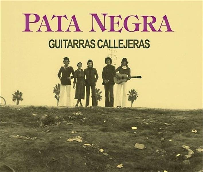 Guitarras callejeras
