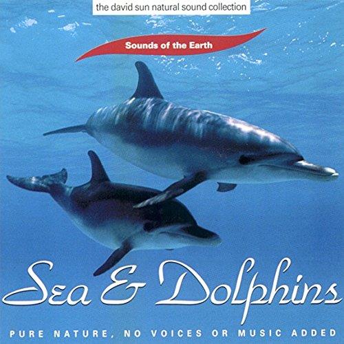 Sea & Dolphins