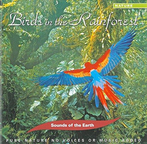 Birds in the Rainforest