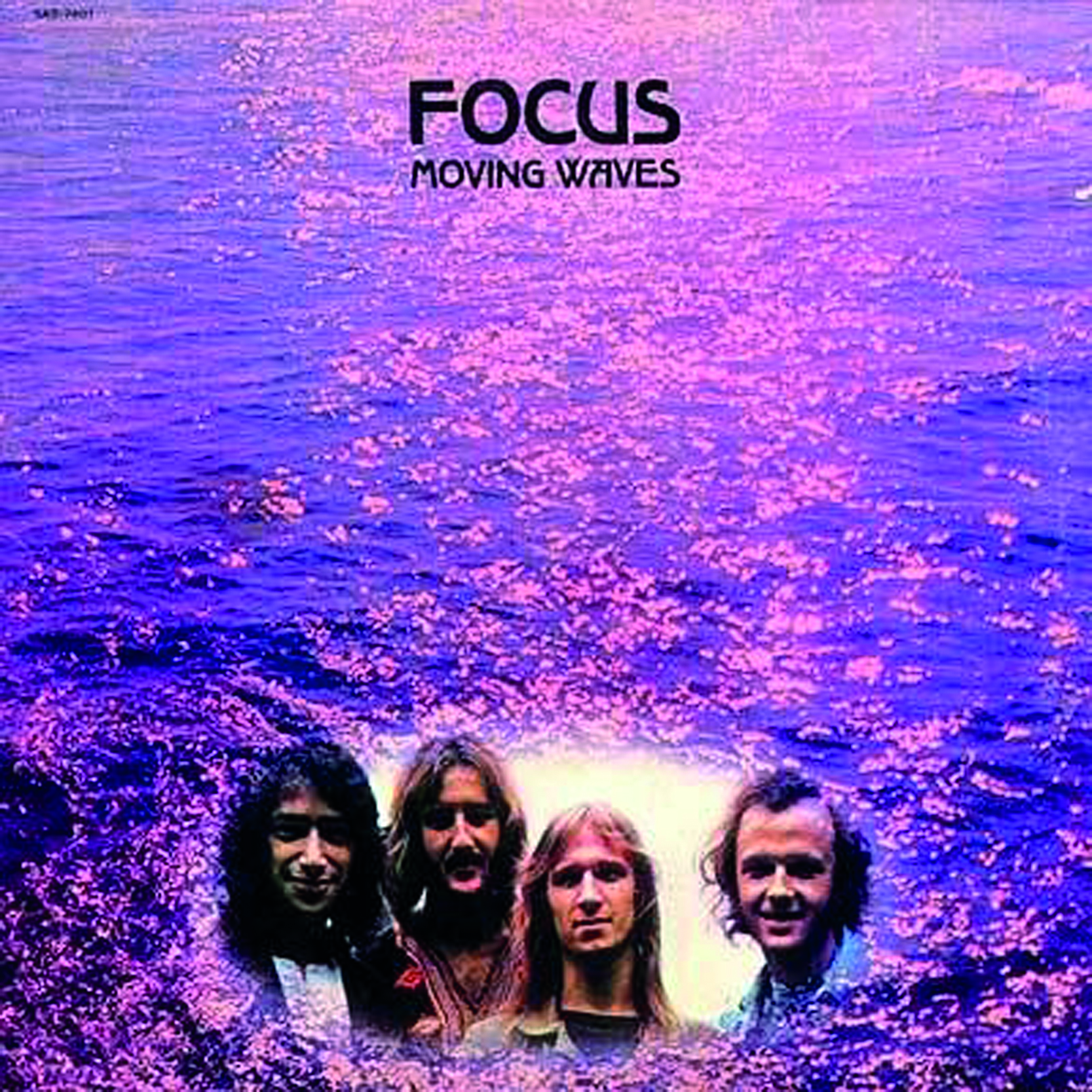 Focus II