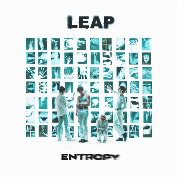 Entropy