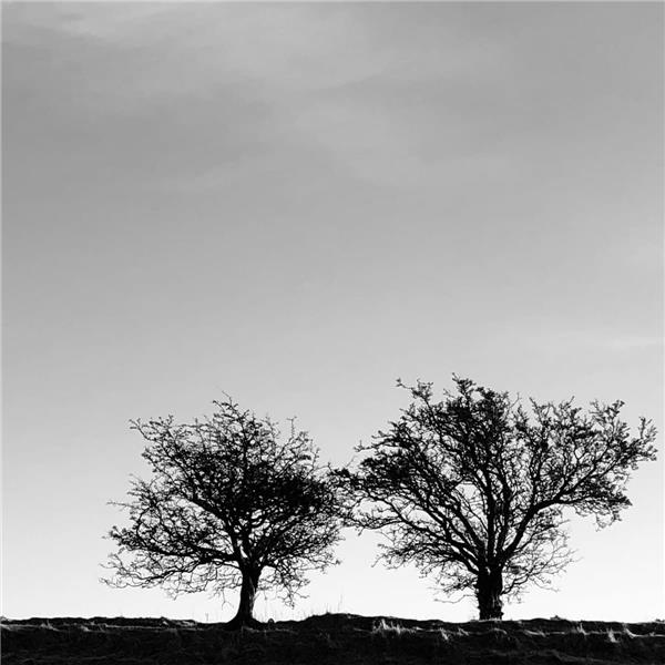 A HEIGHTENED SENSE OF EVERYTHING