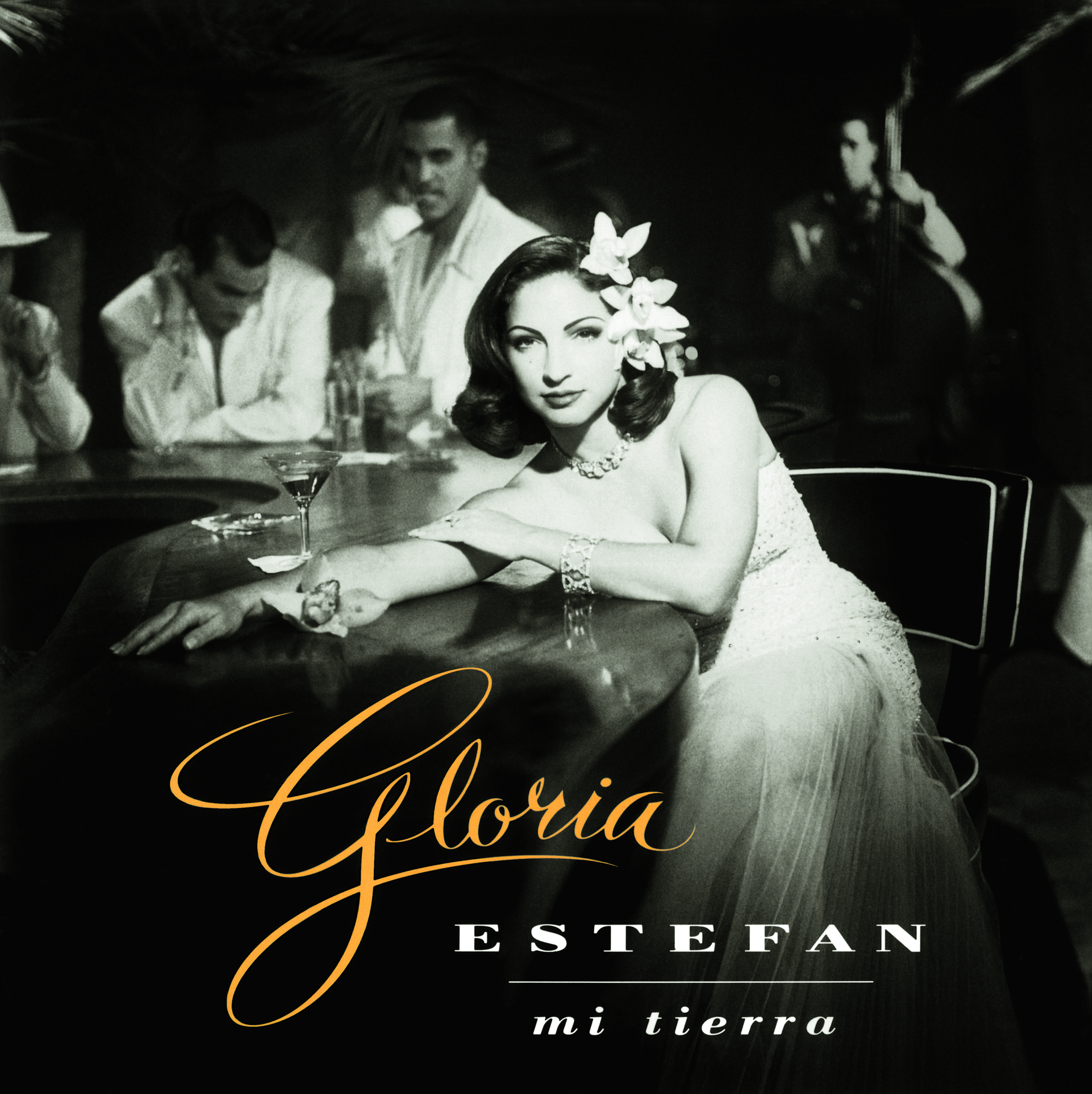 MI TIERRA/VINYLE NOIR AUDIOPHILE 180GR/INCLUS INSERT