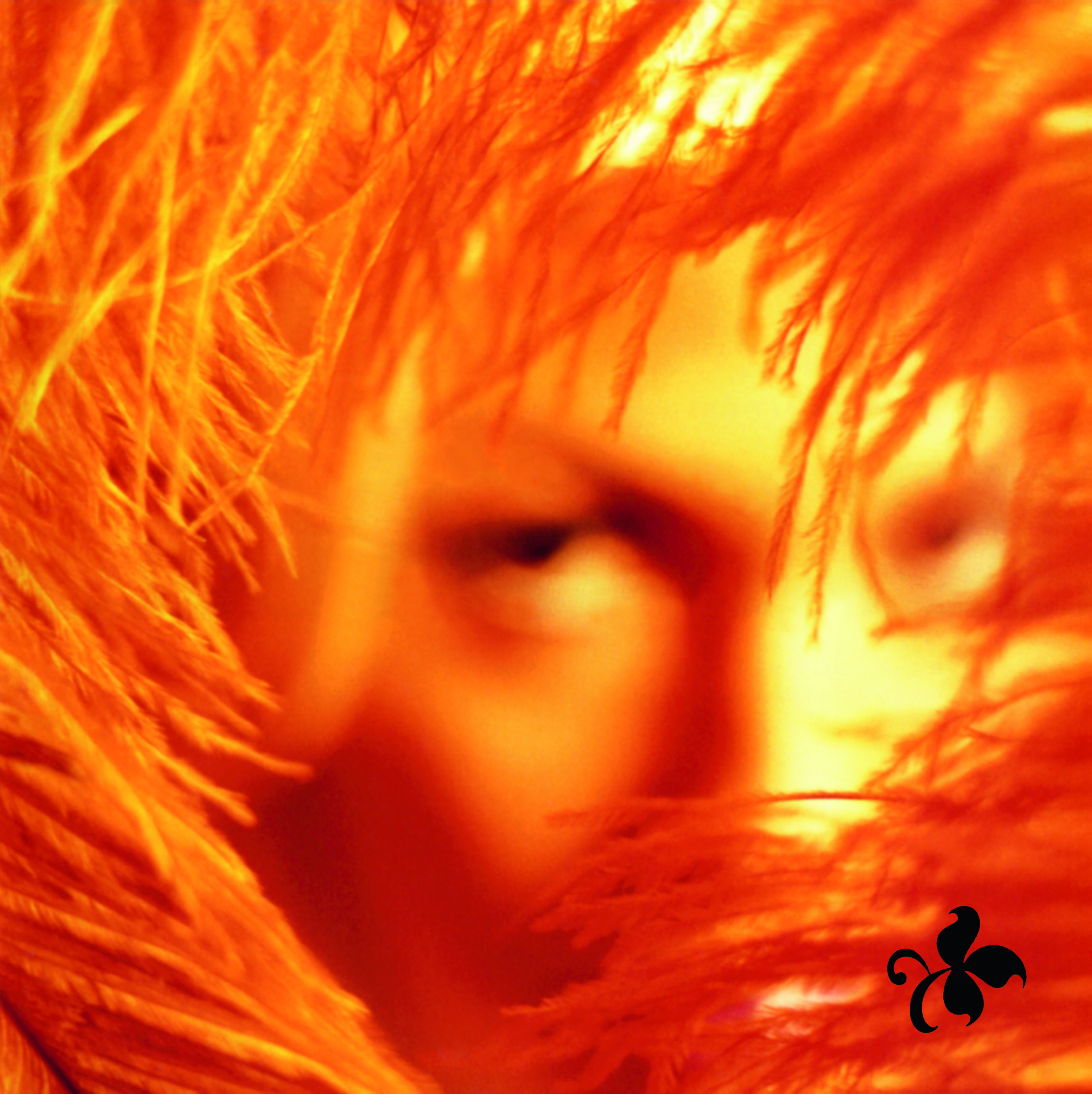 Shangri‐La Dee Da