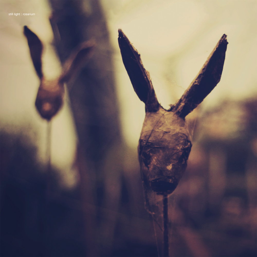 ROSARIUM -LP+CD-