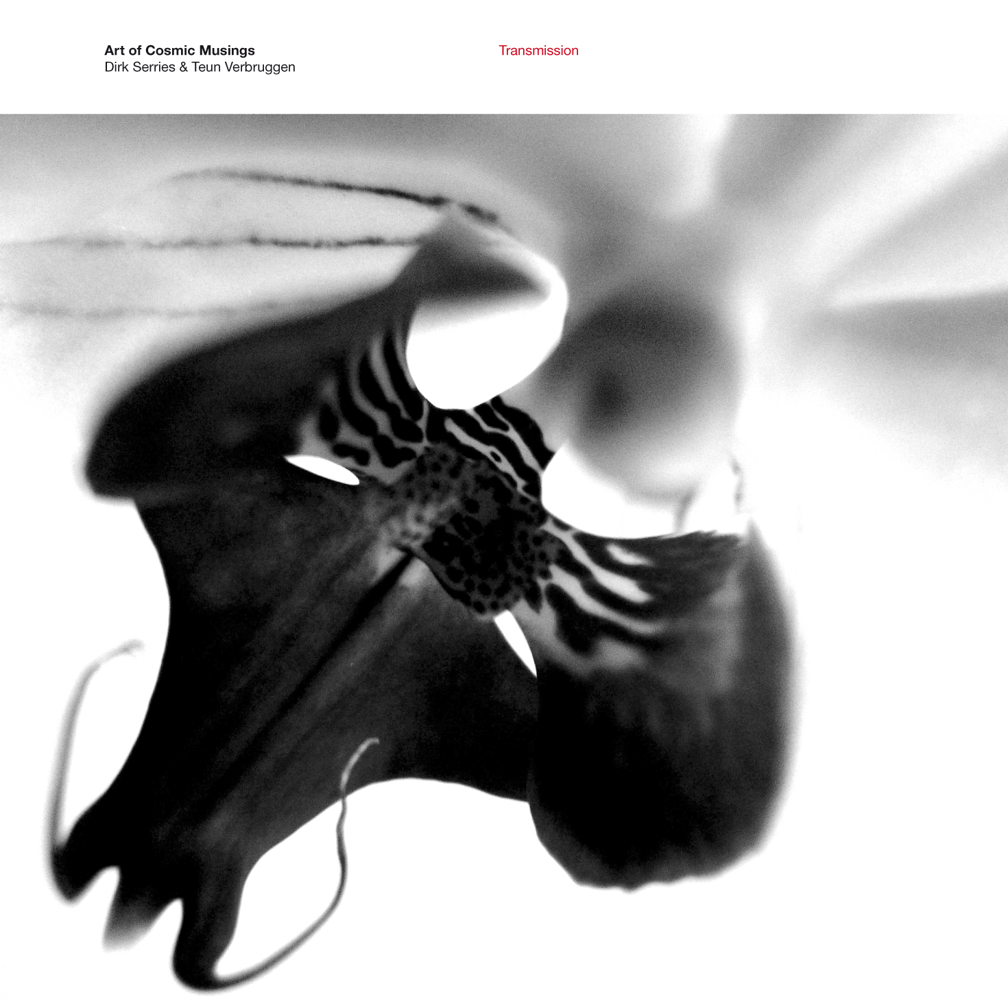 TRANSMISSION -HQ-