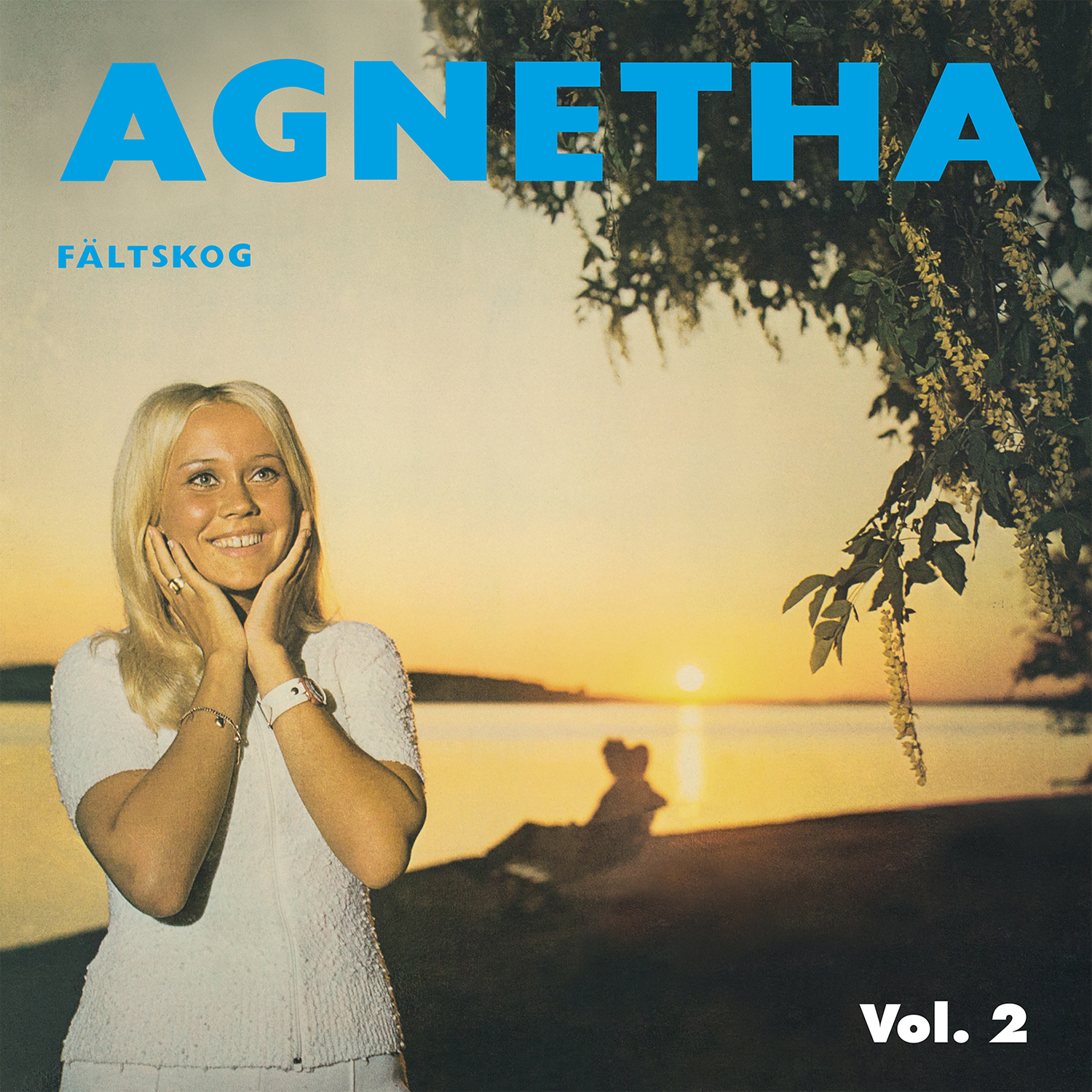 AGNETHA FALTSKOG VOL 2/VINYLE BLEU MARBRE AUDIOPHILE 180GR