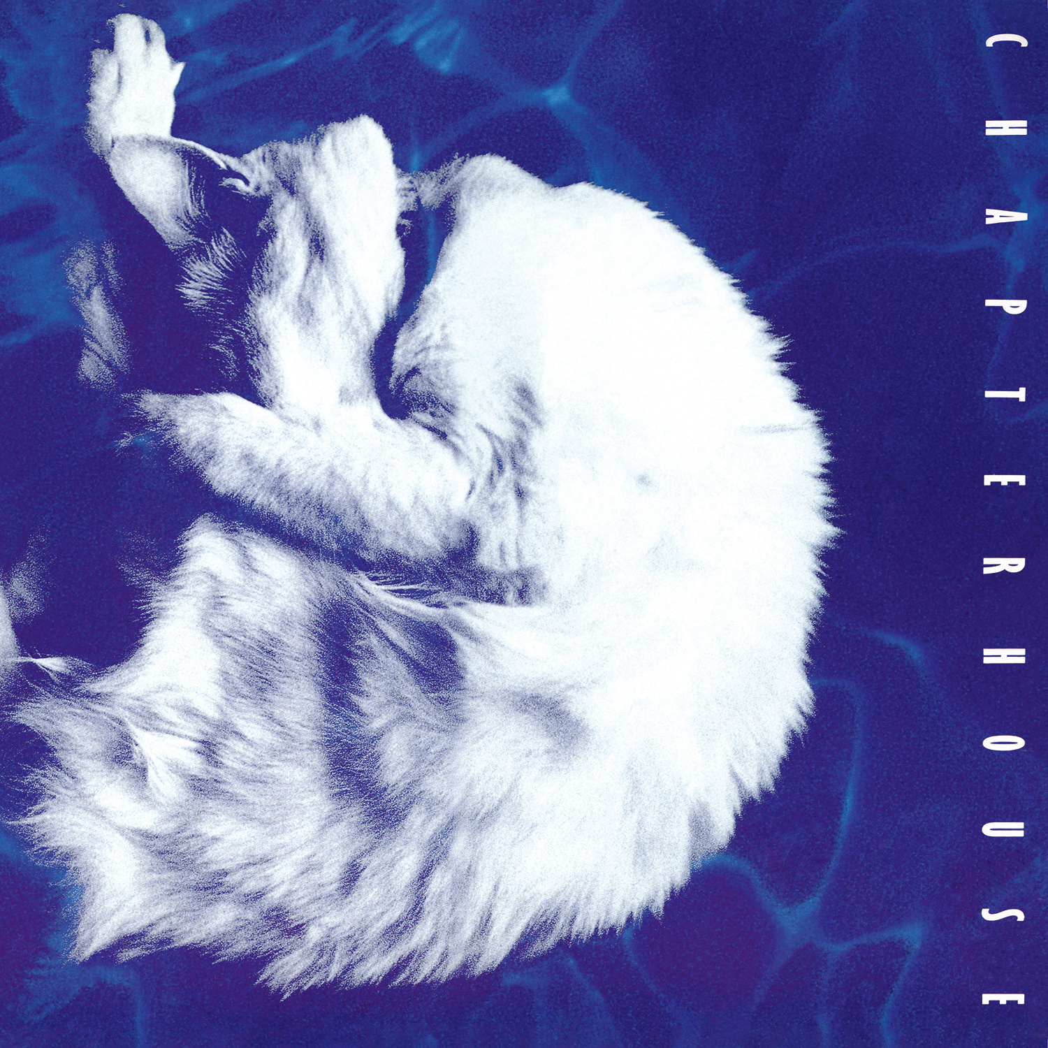 WHIRLPOOL / VINYLE LIMITE BLANC MARBRE