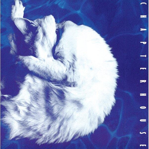 WHIRLPOOL / EDITION LIMITEE BLANC ET NOIR MARBRE