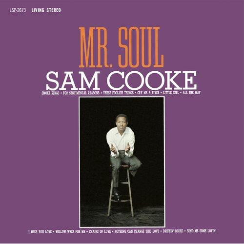 Mr Soul