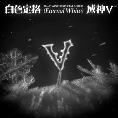Winter Special Album - Eternal White - Smini