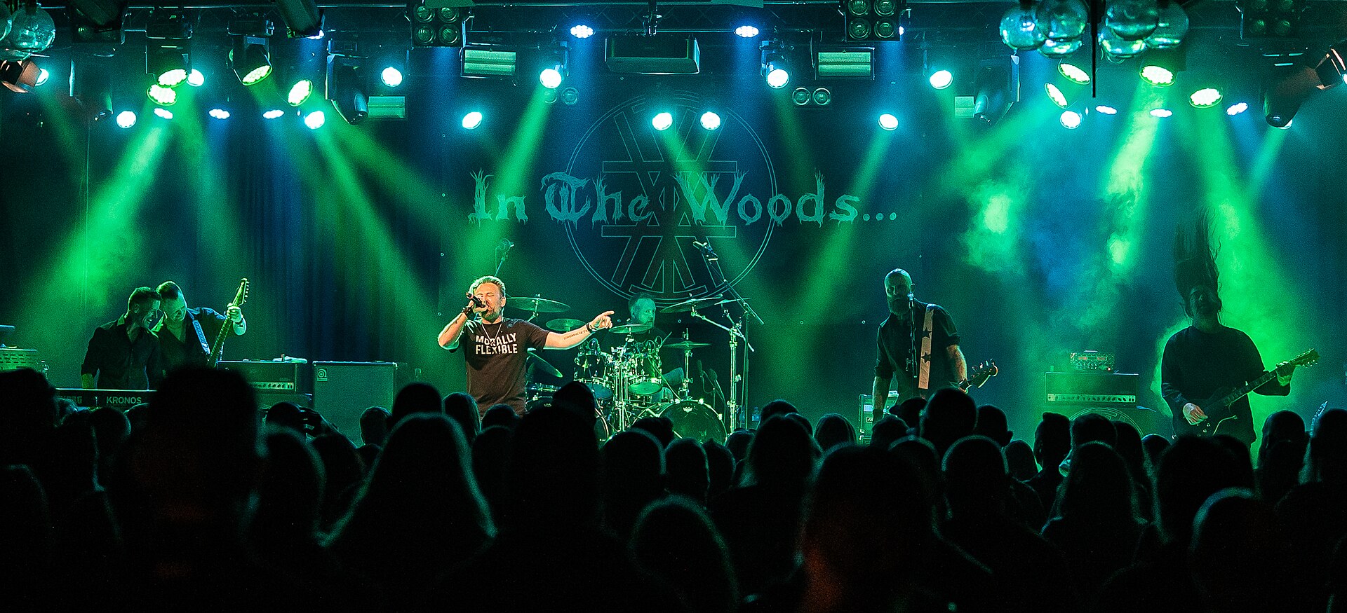 In the Woods...