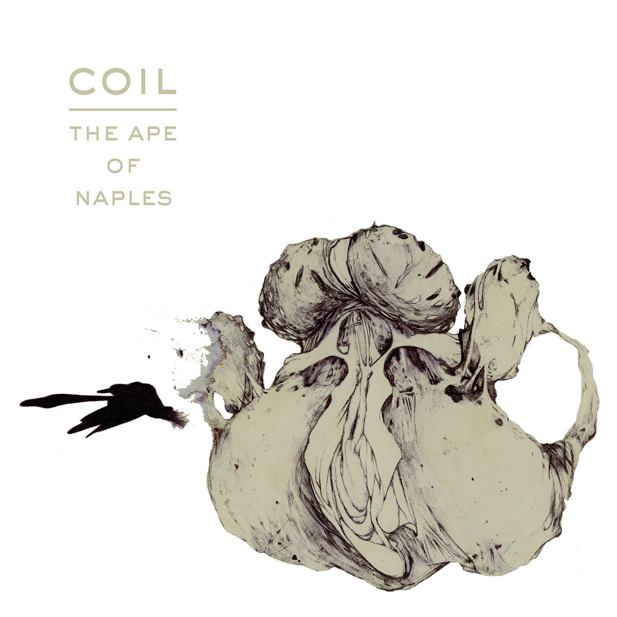 Coil