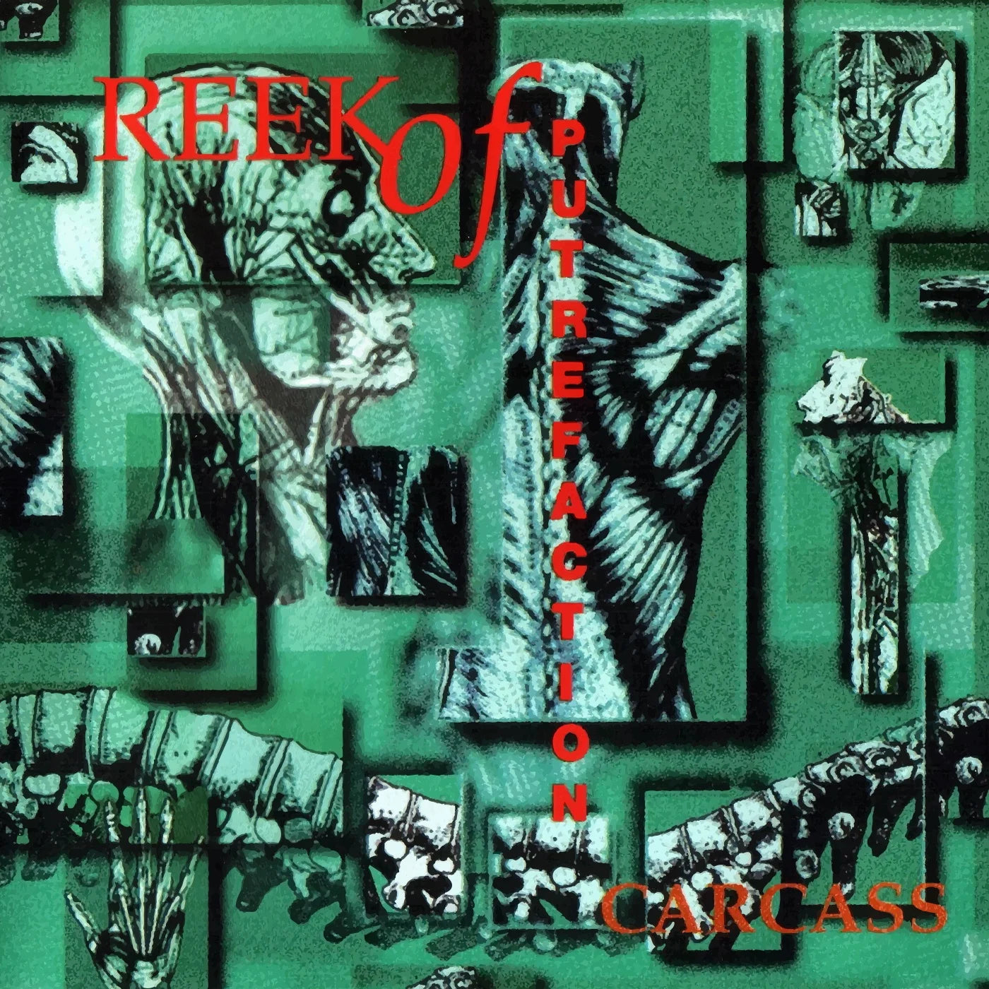 Cover album effrayante : Reek of Putrefaction de Carcass (1988)
