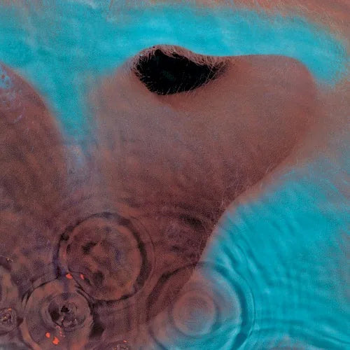 Pochette de Meddle de Pink Floyd (1971)